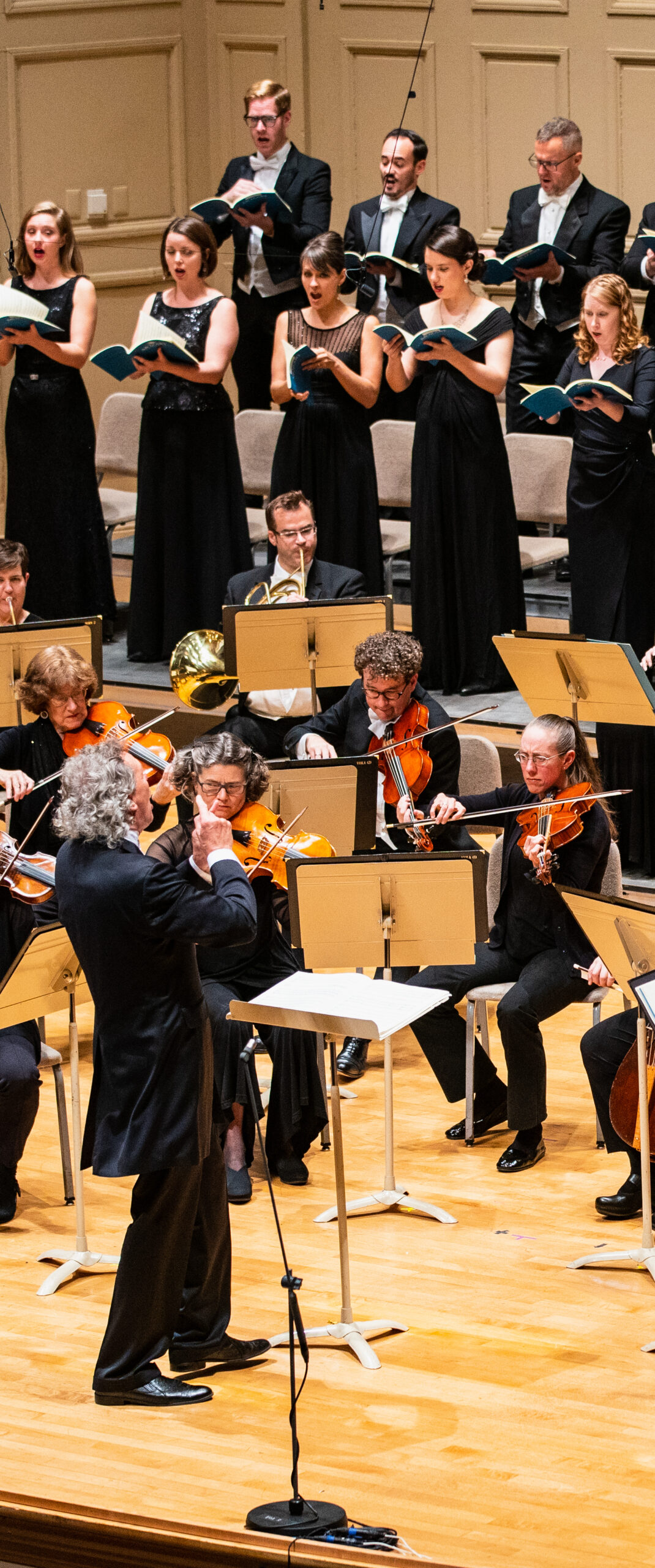 48880801772_eb2993aaf9_o orchestra