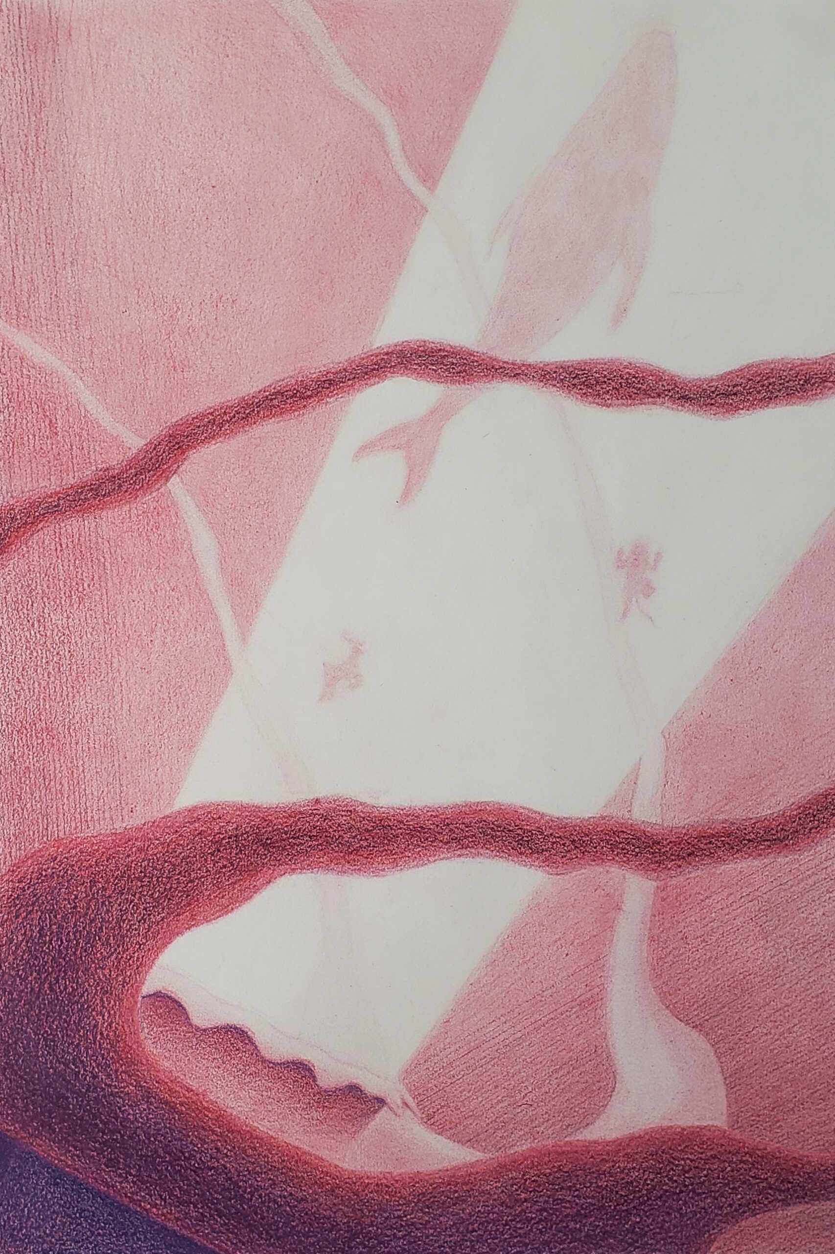 Project Haydn The Creation, Partnership with MassArt Handel and